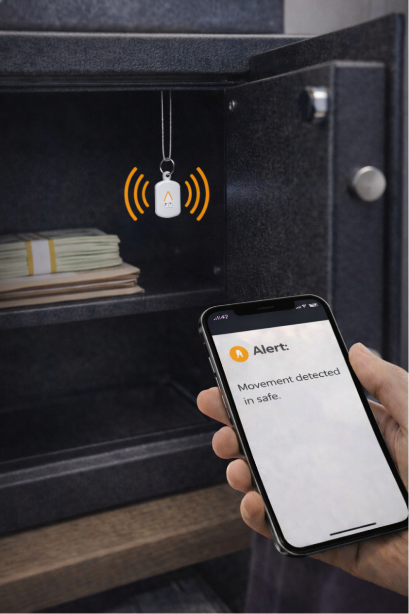 Safe and cabinet security